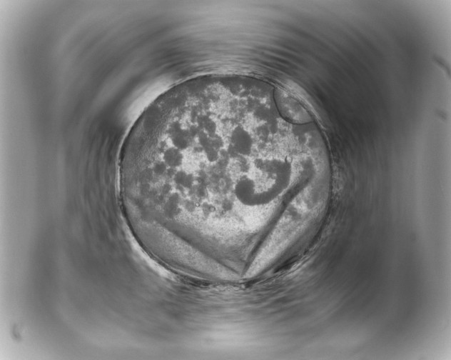 X0000102251095200808151812