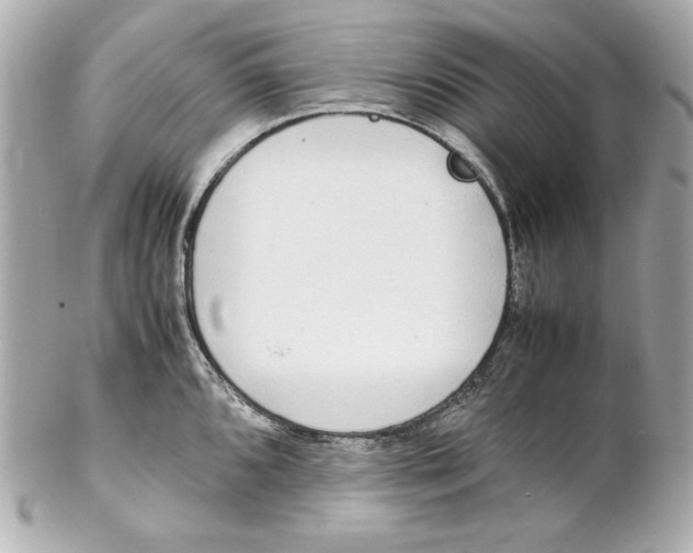 X0000102251096200808151811