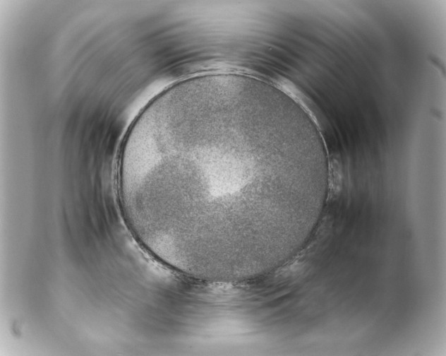 X0000102251098200808151811