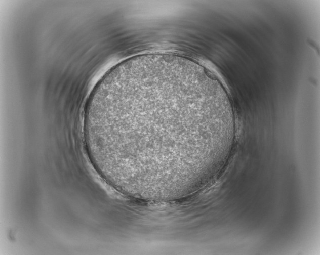 X0000102251099200808151811