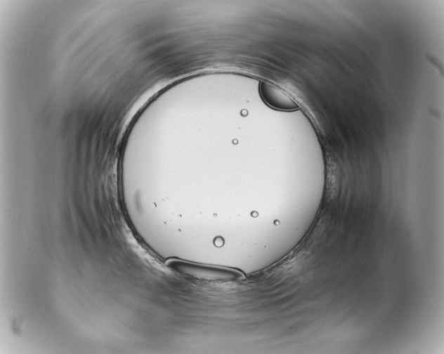 X0000102251100200808151811