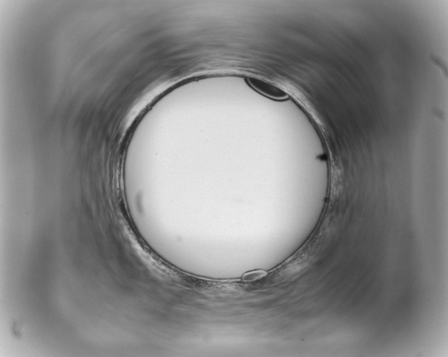 X0000102251101200808151811