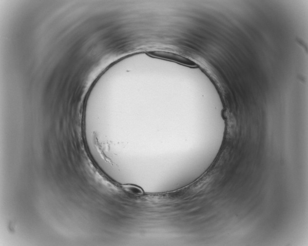 X0000102251102200808151811