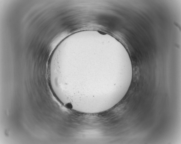 X0000102251103200808151811