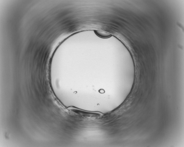 X0000102251104200808151811