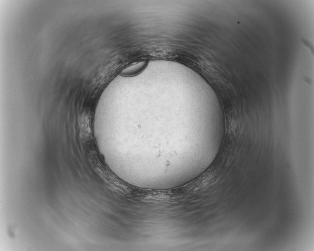 X0000102251106200808151811