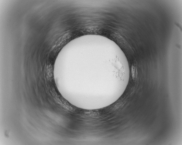 X0000102251107200808151811