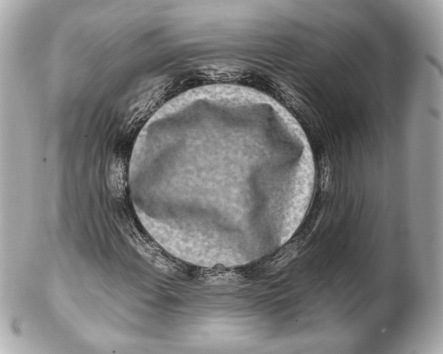 X0000102251108200808151811