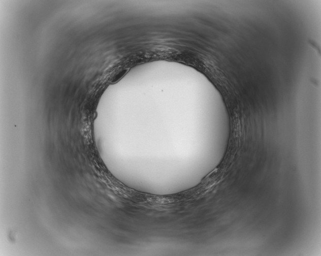 X0000102251109200808151811