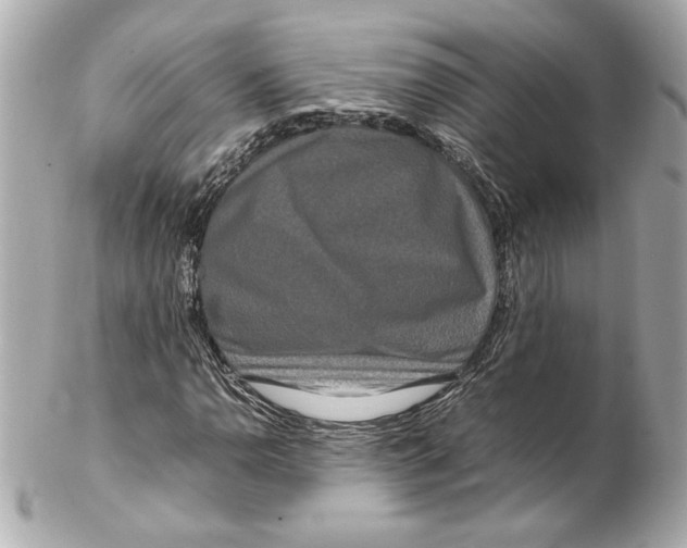 X0000102251110200808151811