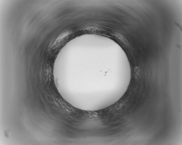 X0000102251111200808151811