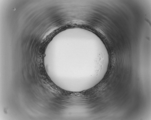 X0000102251112200808151811