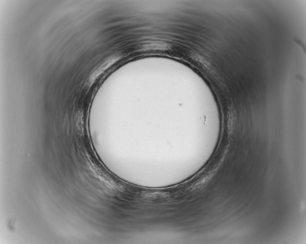 X0000102251113200808151811