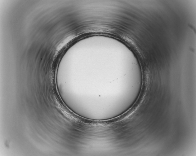 X0000102251114200808151811