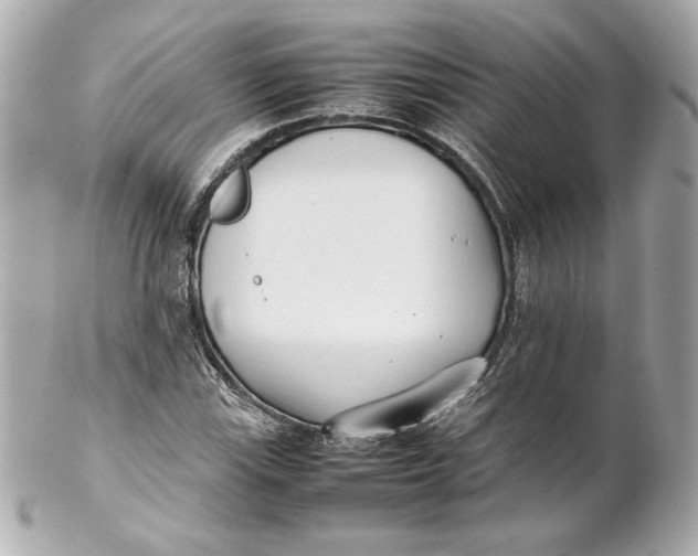 X0000102251115200808151811