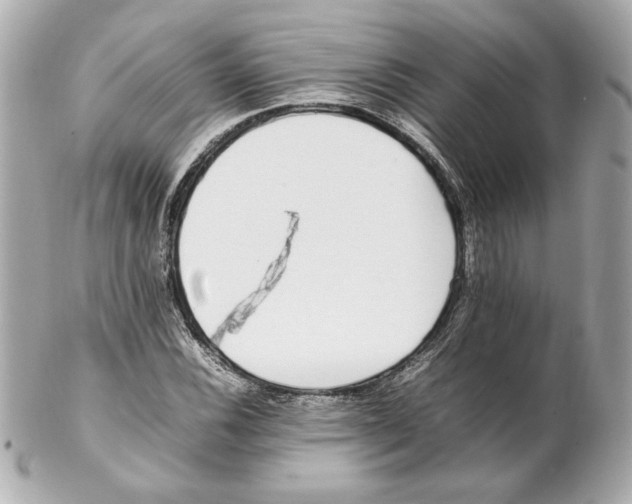 X0000102251116200808151811