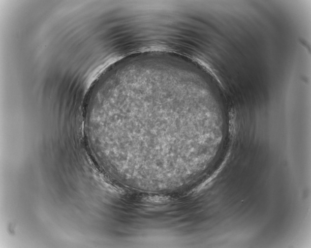 X0000102251117200808151811