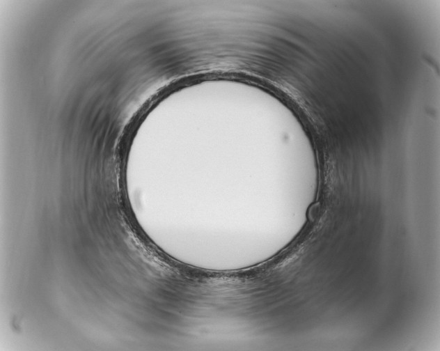 X0000102251118200808151811