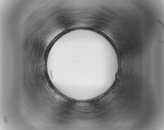 X0000102251119200808151811