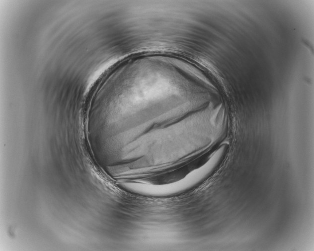 X0000102251120200808151811