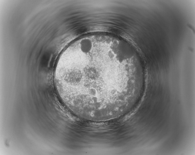 X0000102251121200808151811