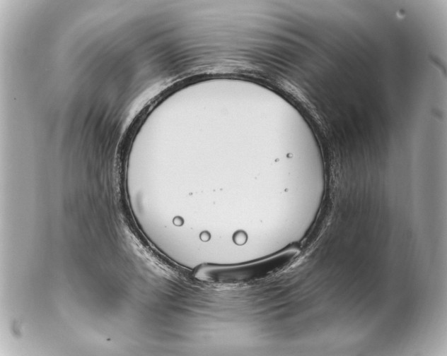 X0000102251122200808151811