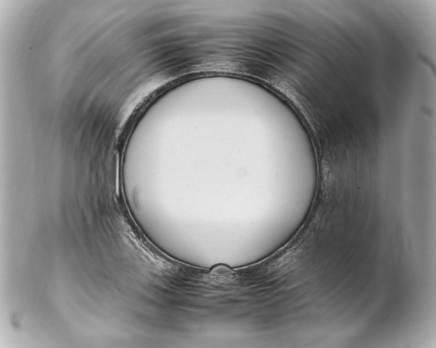 X0000102251123200808151811