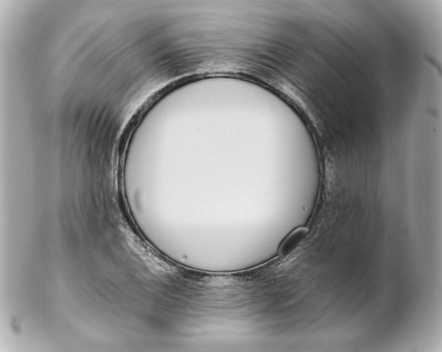 X0000102251124200808151811