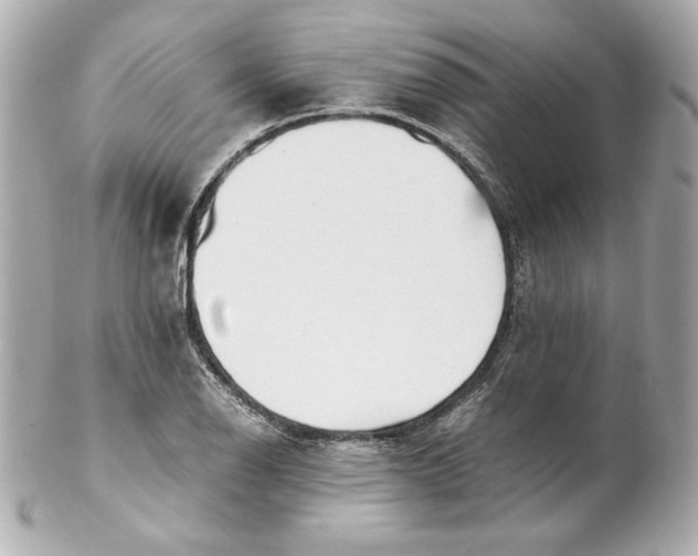 X0000102251126200808151811