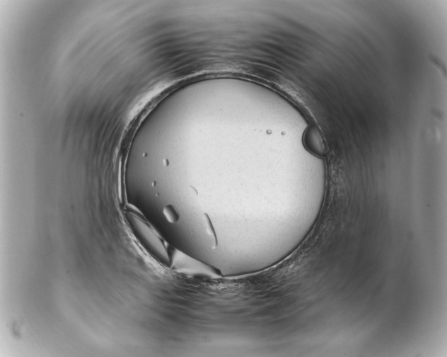 X0000102251127200808151811