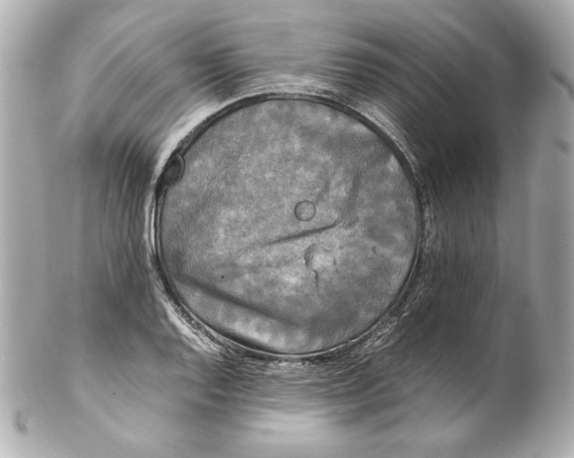 X0000102251128200808151811