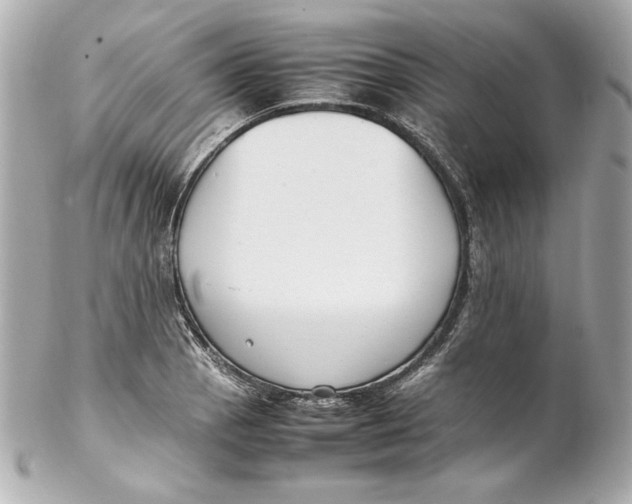 X0000102251129200808151811