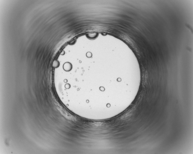 X0000102251130200808151811