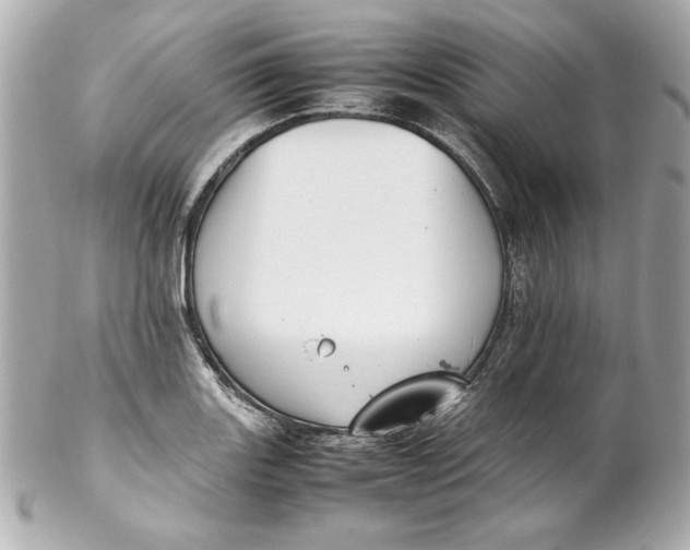 X0000102251131200808151811