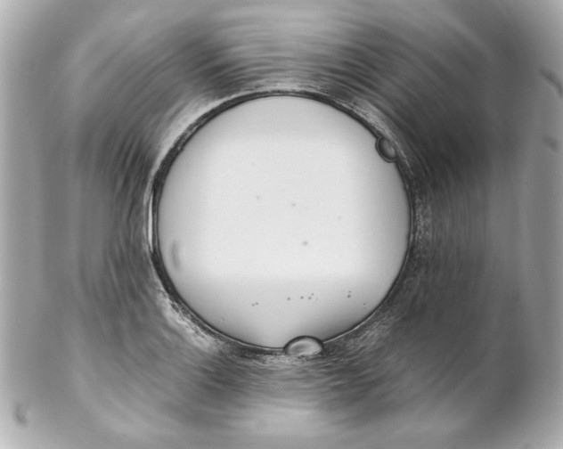 X0000102251132200808151811