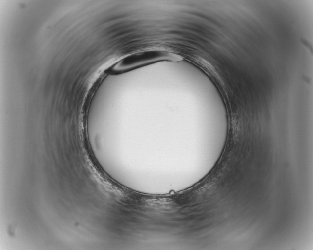 X0000102251133200808151811