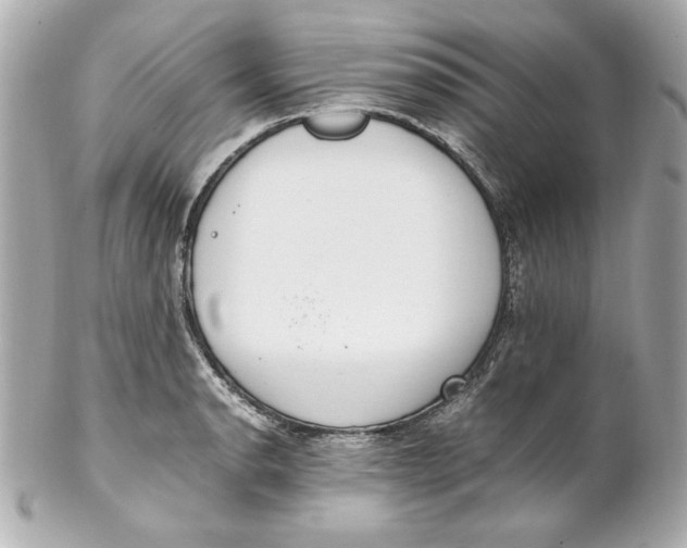 X0000102251134200808151811