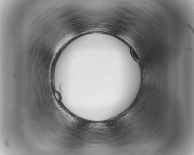 X0000102251135200808151811