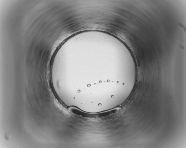 X0000102251136200808151811