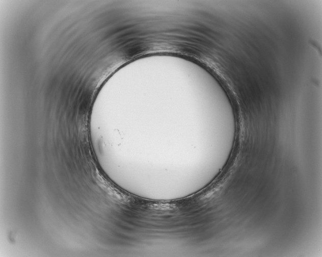 X0000102251137200808151811