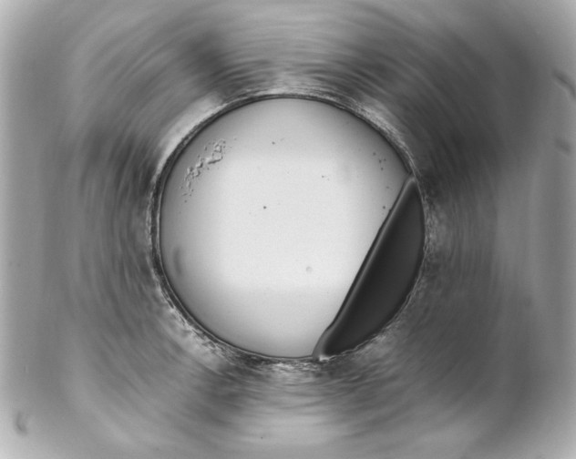 X0000102251138200808151811