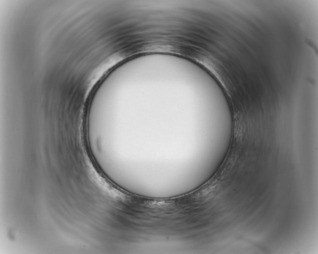 X0000102251139200808151811