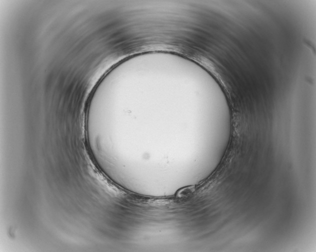 X0000102251140200808151811