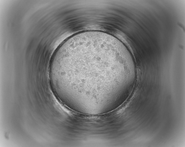 X0000102251141200808151811