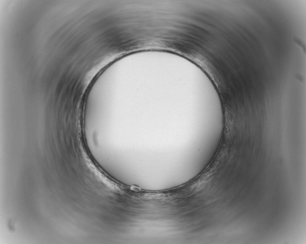 X0000102251142200808151811