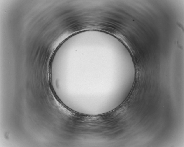 X0000102251143200808151811