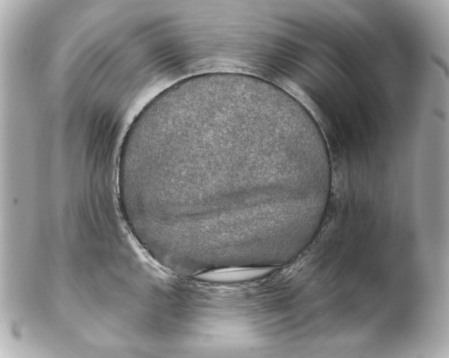 X0000102251144200808151811