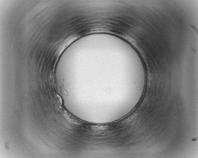 X0000102251145200808151811