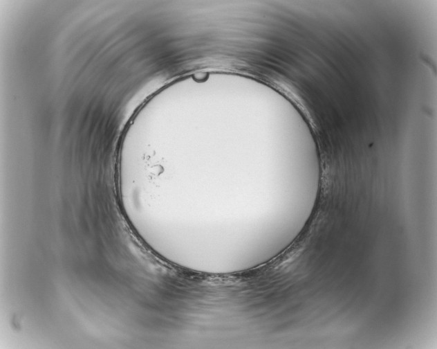 X0000102251146200808151811