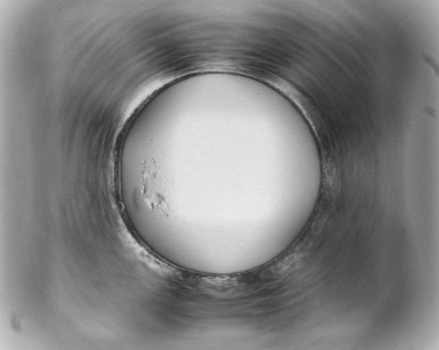 X0000102251147200808151811